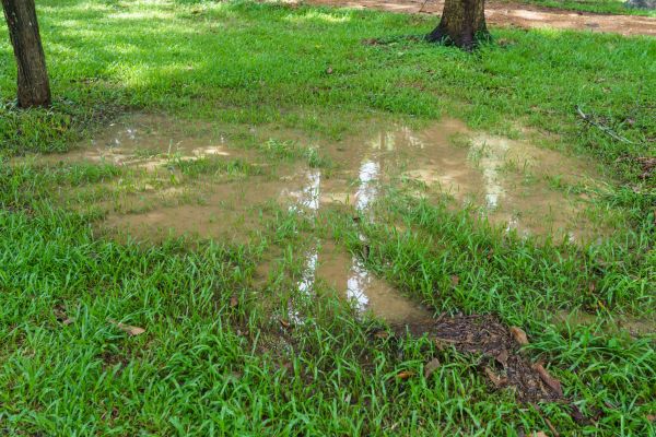 Storm Water Drainage Service in Overland Park