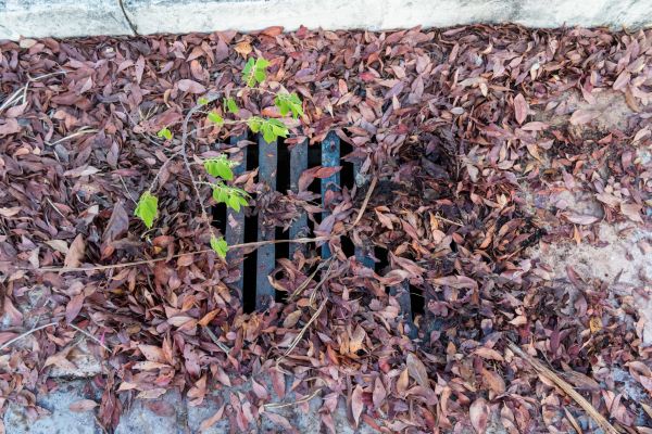 Yard Drain Unclogging in Overland Park