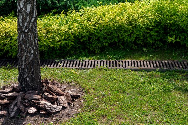Wet Yard Drainage in Overland Park