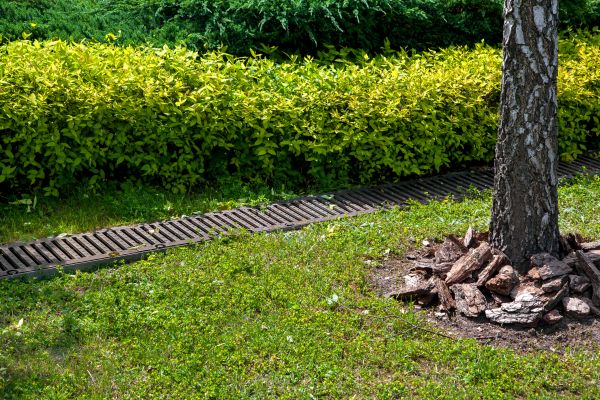 Residential Landscape Drainage in Overland Park