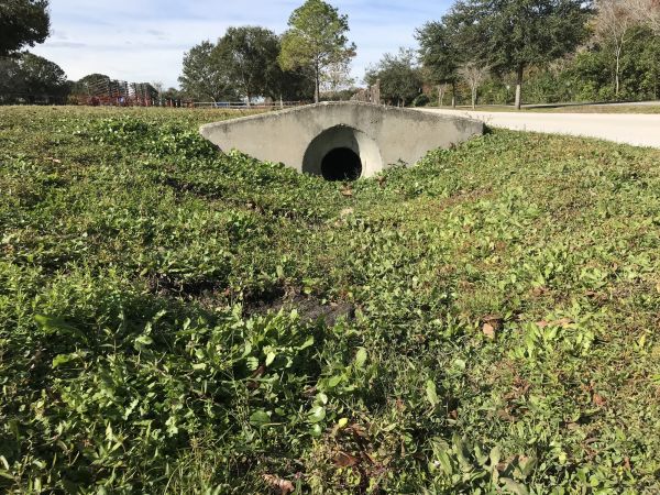 Cost of Swale Drainage Service in Overland Park